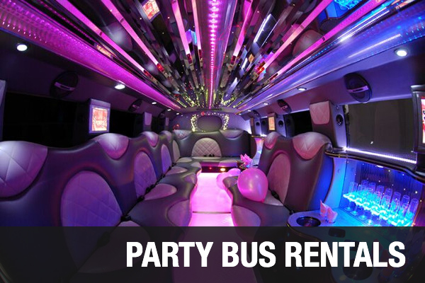 Party Bus Rentals St Petersburg