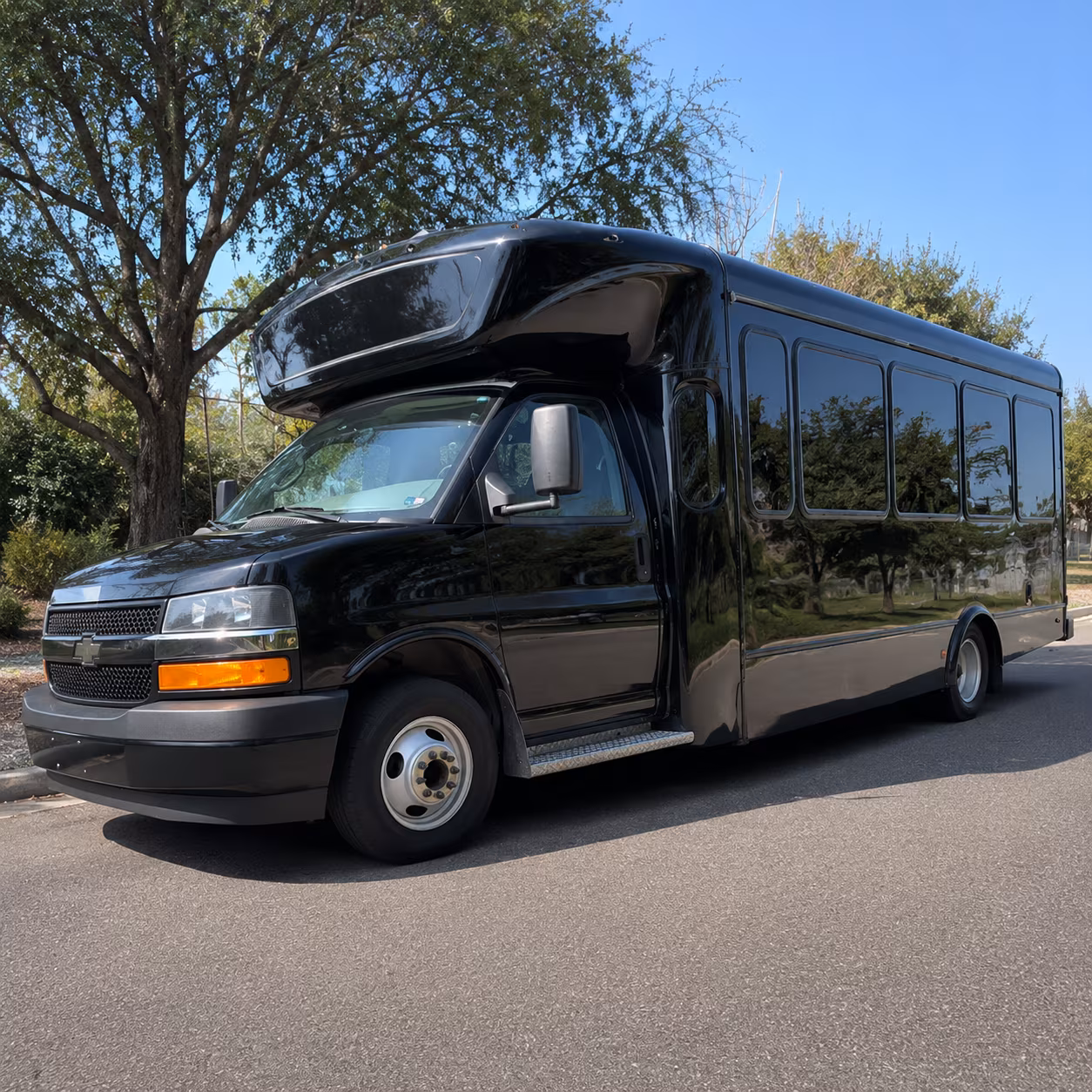 Coachman Park (Live Music & Festivals)