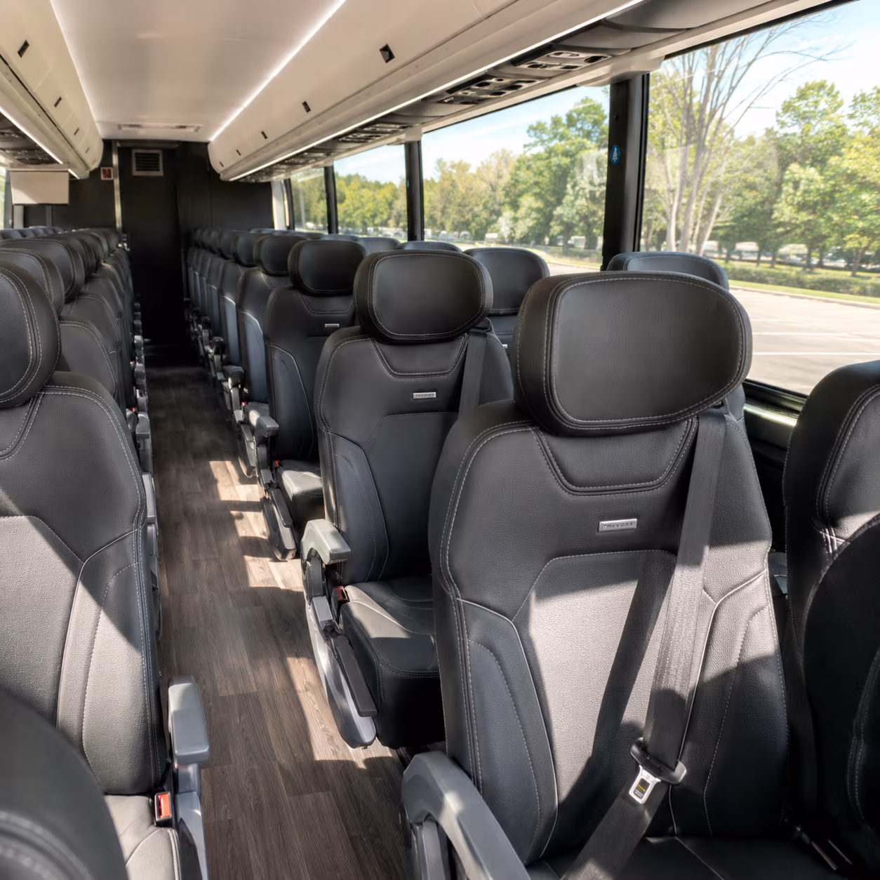 St. Petersburg Airport Shuttle & Transportation party bus exterior
